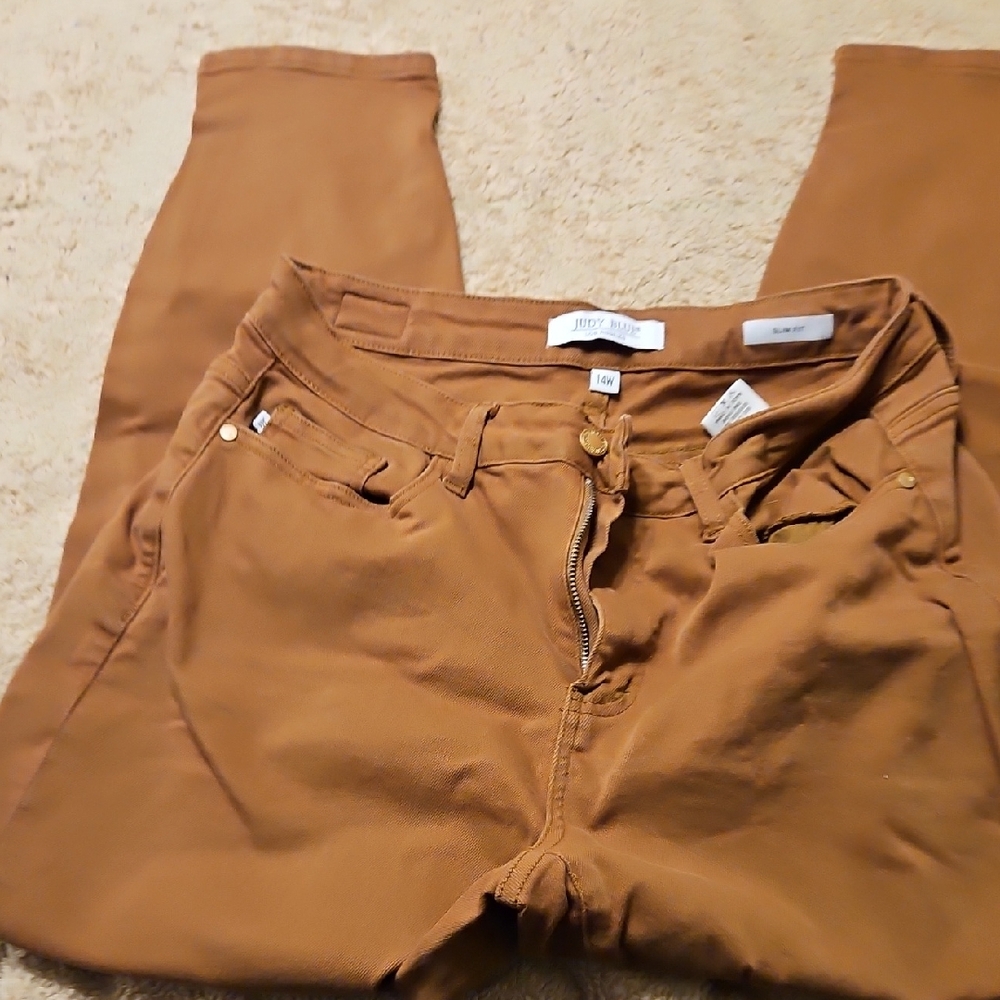 Judy Blue Women's Skinny Jeans in Brown